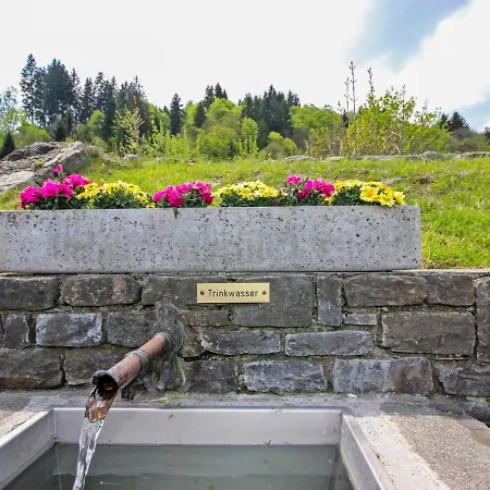 Ainhauser-3 By Interhome Appartamento Rodund